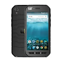 Cat S41