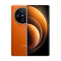 vivo X100